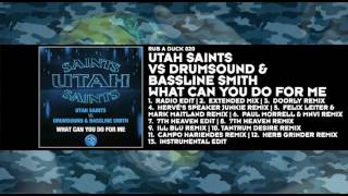 Utah Saints vs. Drumsound & Bassline Smith - What Can You Do For Me