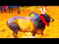Jallikattu WhatsApp Status Jallikattu Jallikattu 2021 Jallikattu WhatsApp Status 2021