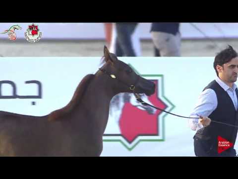 N 22 GHALA ALSADEEM   Emirates AHBC