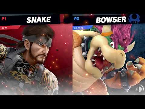 GS | Sunny (Terry/Snake) vs BC | GerudoN (Bowser) - GFs - Smash @ The Well 1/24/20