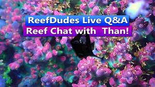 ReefDudes Live Saltwater Reef Chat Q&A with Than from Tidal Gardens