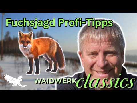 Fuchsjagd mit Profi Elmar Eickkhoff: Methoden, Tipps & Vorteile für Jäger