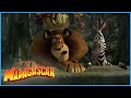 DreamWorks Madagascar Alex And Marty Best Friends Compilation Madagascar Funny Scenes