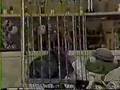 Sesame Street News Flash Dr Nobel Price S Poonga Poonga