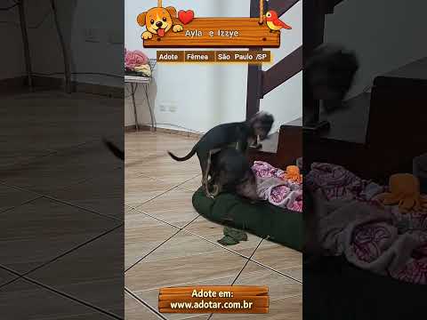 Vídeo de Ayla e Izzye