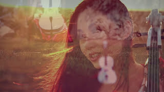 Blank Space (Taylor Swift Cello Cover) - Tina Guo