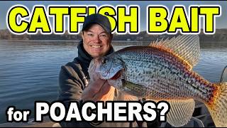 Illegal Catfish Bait? What Every Catfisherman Needs to Know