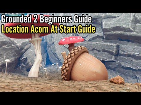 Grounded 2, Location Acorn At Start Guide