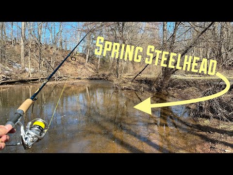 Float Fishing-Steelhead-First day of Spring 2023
