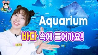 너무 신난다! 바다 속 동물을 만나보자~ Aquarium | 키즈영어민디 어린이영어