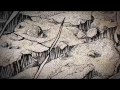 BEREFT WE WEPT Official Album Track