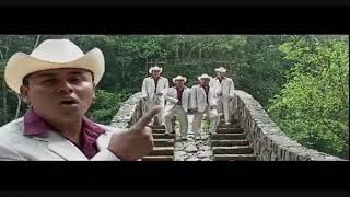 Video El Pescado Nadador de Tierra Cali