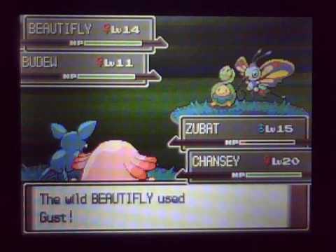 Kazo's Pokemon Platinum English Walkthrough Part 10: To Eterna Forest Part 2