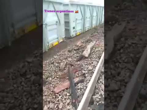Descarriló formación del tren Urquiza en tapebicua (corrientes) 29-2-24