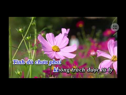 Thể hiện bởi Hoài Phương