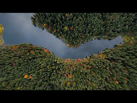 Borsec | Hăşmaş Mountains - Red Lake and Ghilcoş Stone