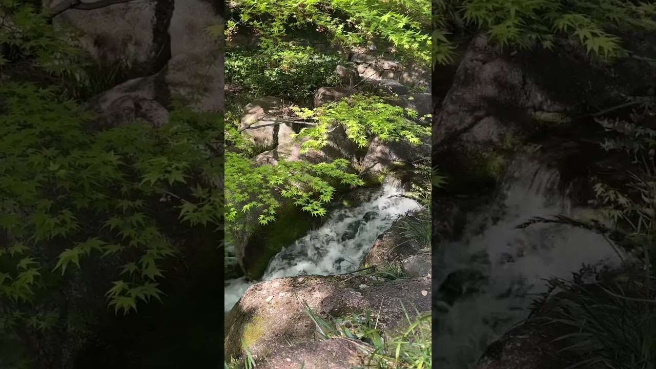 YouTube Short thumbnail