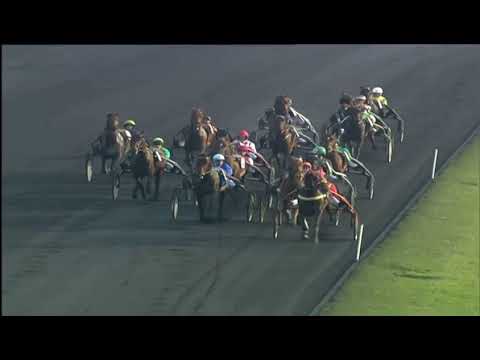 Prix De Belgique Gr2 2005 - Prix d’Amerique Q6 - kazire Du Guez & Stéphane Delasalle 1.13,3 2850m