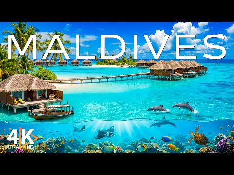 World Scenery 4K and 2 more