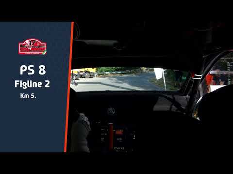 17° Rally di Reggello   Vargiu   Nesti   Ps 8