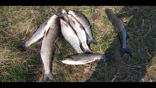 Самая лучшая приманка на жереха