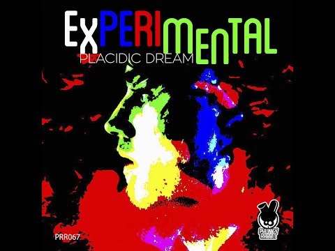 PLACIDIC DREAM - THE WORLD CAN CHANGE (ORIGINAL MIX)