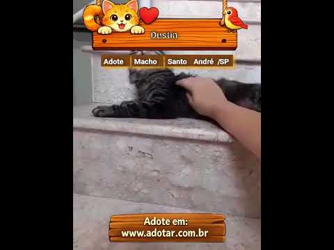 Vídeo de Dustin