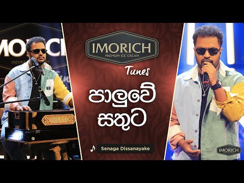 Paluwe Sathuta (පාලුවේ සතුට) | Senanga Dissanayake | Imorich Tunes | Sirasa TV