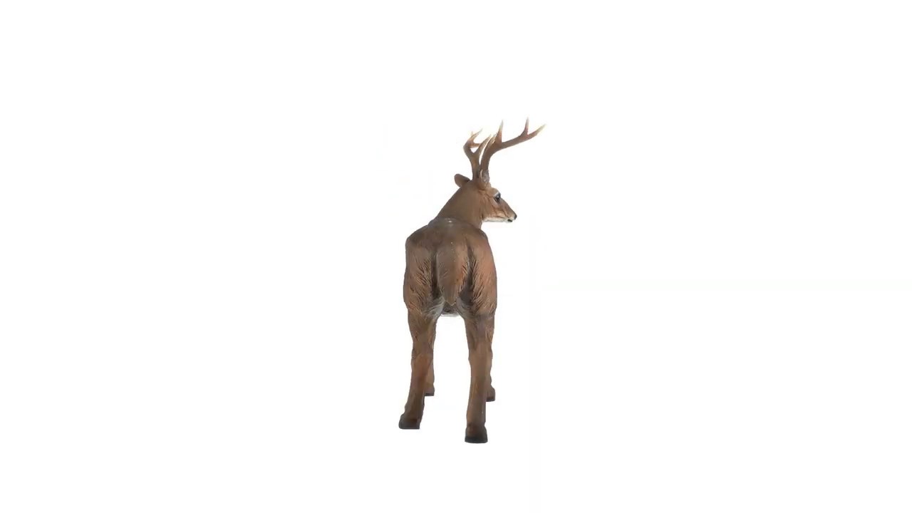 Big Rack Buck Deer Garden Statue Video