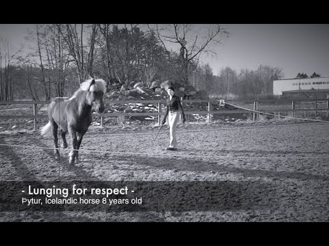 Clinton Anderson Method - Fundamentals