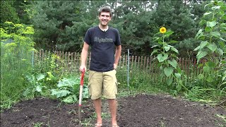 How to Plant a Fall Garden & What is Good to Plant | MIgardener