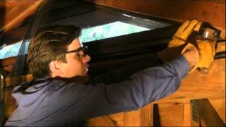 How to Prevent Pests from Entering Your Attic