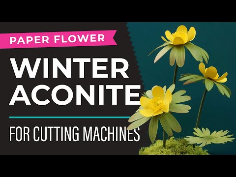 How to Make a Paper Flower Display | Winter Aconite for Cricut and Silhouette