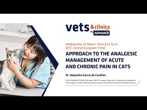 APPROACH TO THE ANALGESIC MANAGEMENT OF ACUTE AND CHRONIC PAIN IN CATS
