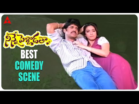 Nagarjuna And Tabu Comedy Scene || Ninne Pelladatha Movie || Nagarjuna,Tabu || Annapurna Studios