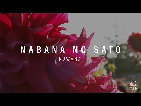 Nabana no sato - KUWANA