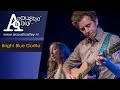 Bright Blue Gorilla (HD) Live @Acoustic Alley 15-10-2014