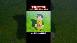 #shorts 4歳児に6ヶ月間生き残る修行をさせるピッコロ 【ドラゴンボールZ カカロット】 #ドラゴンボール