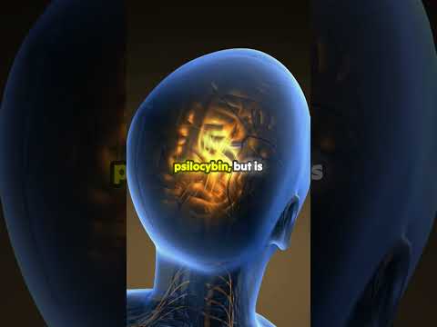 Unlocking the Future of Mental Health: DMT for Depression!