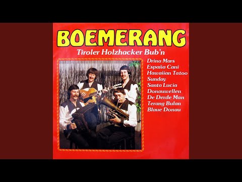 Tiroler Holzhacker Bub'n