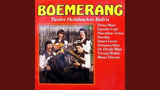 Tiroler Holzhacker Bub'n