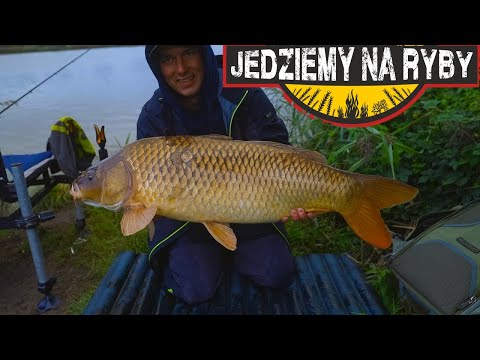 Sposób na ogromnego karpia - Testy przynęt -  Method feeder