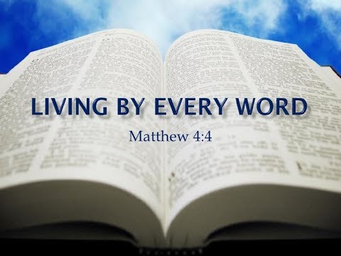 What Do You Expect? | By Every Word | David Asscherick