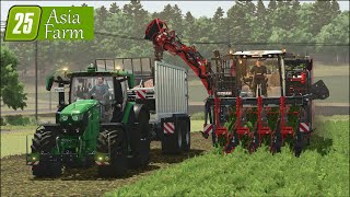 LS 25 Asia Farm #41 Mit einem Monster in die Gemüseernte!