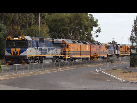 #CM3314, #ALF19, #CLP8, #CM3315 & #V544 leads 1281S through Keswick