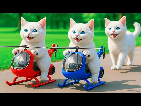 Mama Cat Trims Fur on the Farm and Makes Tiger Hat For Kittens At Home🐾🎩🐯