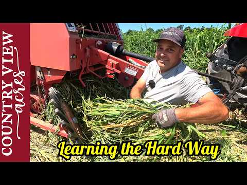Learning by my mistakes.  Making My First Silage Bales.  Can it be done a small scale?