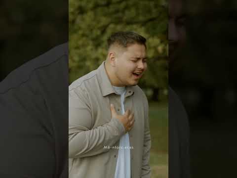 ❗️Now on youtube! David Silaghi 🔔 #christianmusic #music #davidsilaghi #gospelmusic #cover #musica