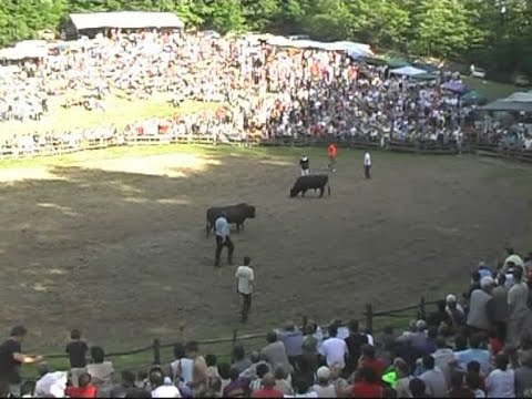 Korida Sladna 27 05 2006