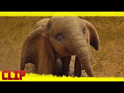 Dumbo (2019) Disney Tv Spot (2019) Español Dumbo (2019) Disney Tv Spot (2019) Español